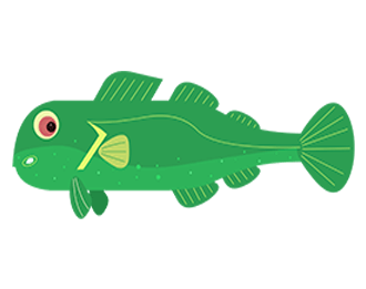 Crevalle