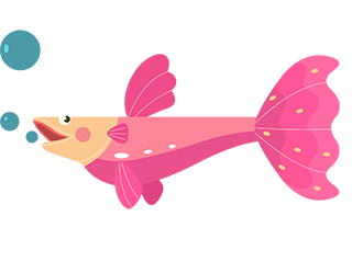 Gupshuppy