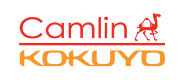 Camlin Backend Development Services