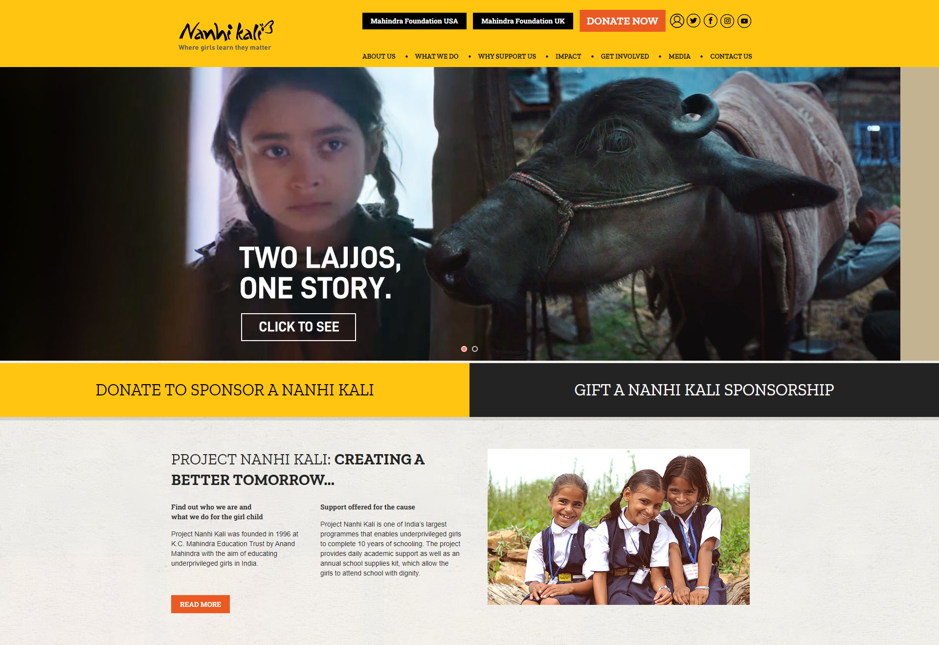 Nanhi Kali Website Development by BC Webwise